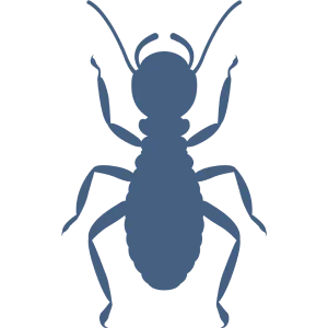 Flipcard Icon Frame 1