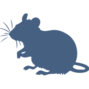 Flipcard Icon Frame 2