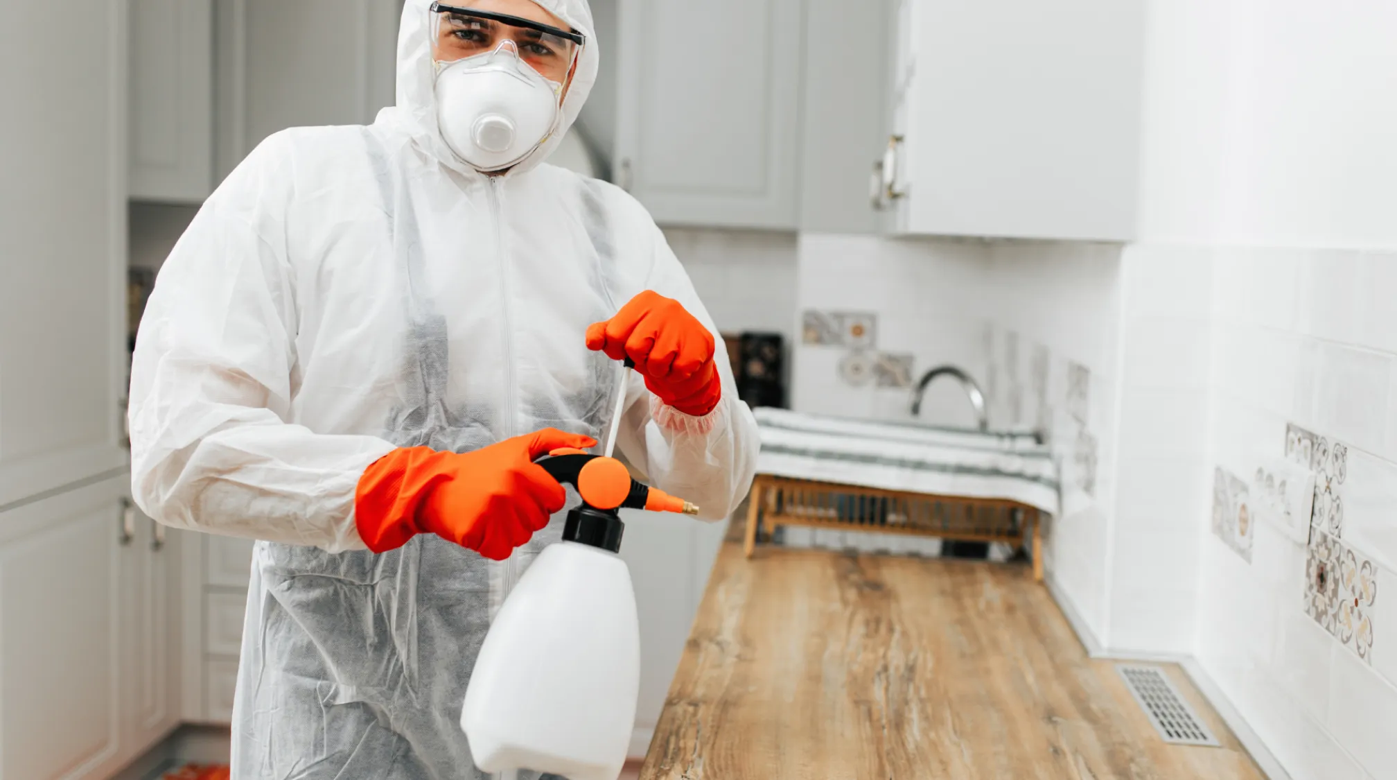 Hero Split View Frame 2