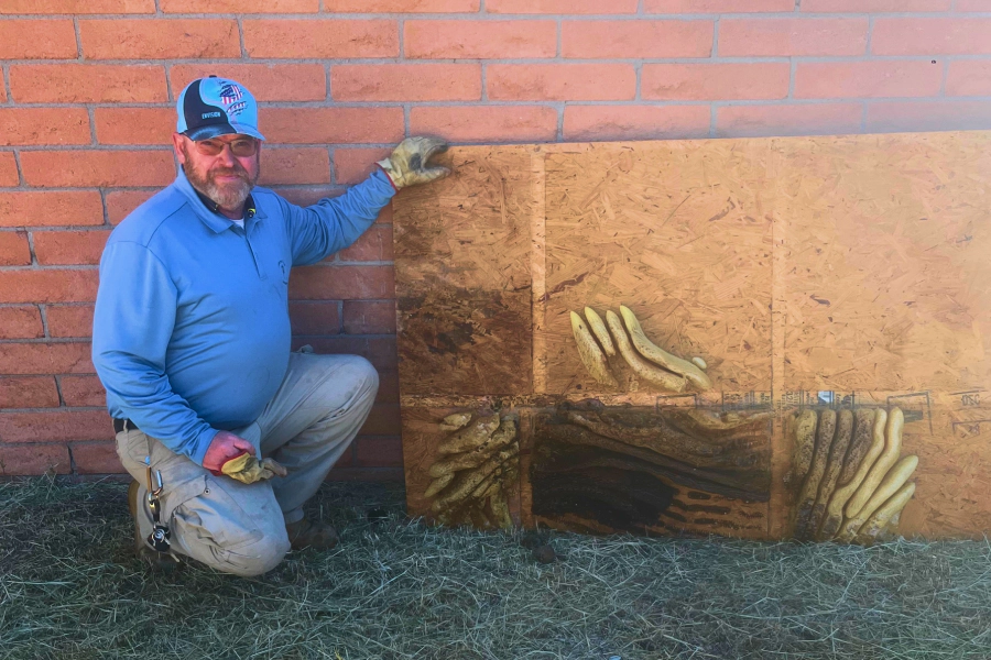 bee hive removal (1)