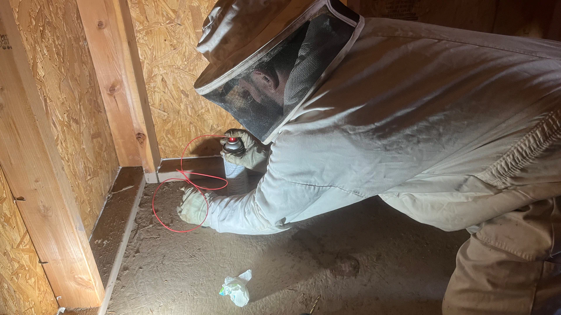 pest control service